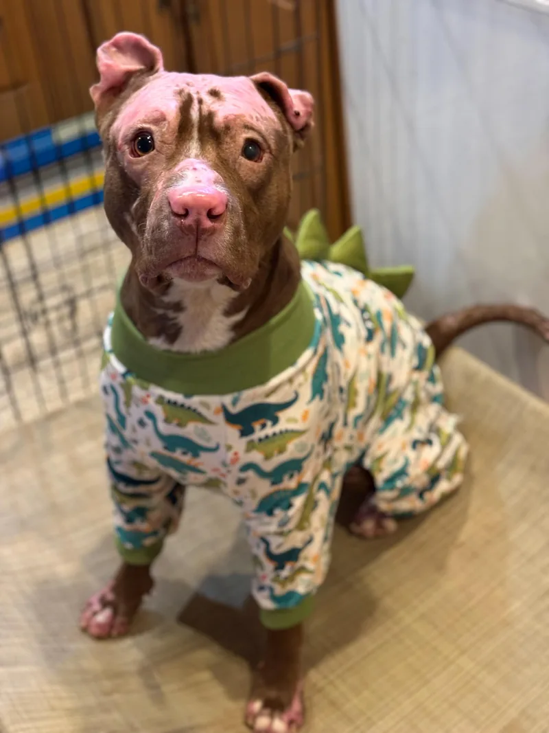 Constantine thumbnail 5