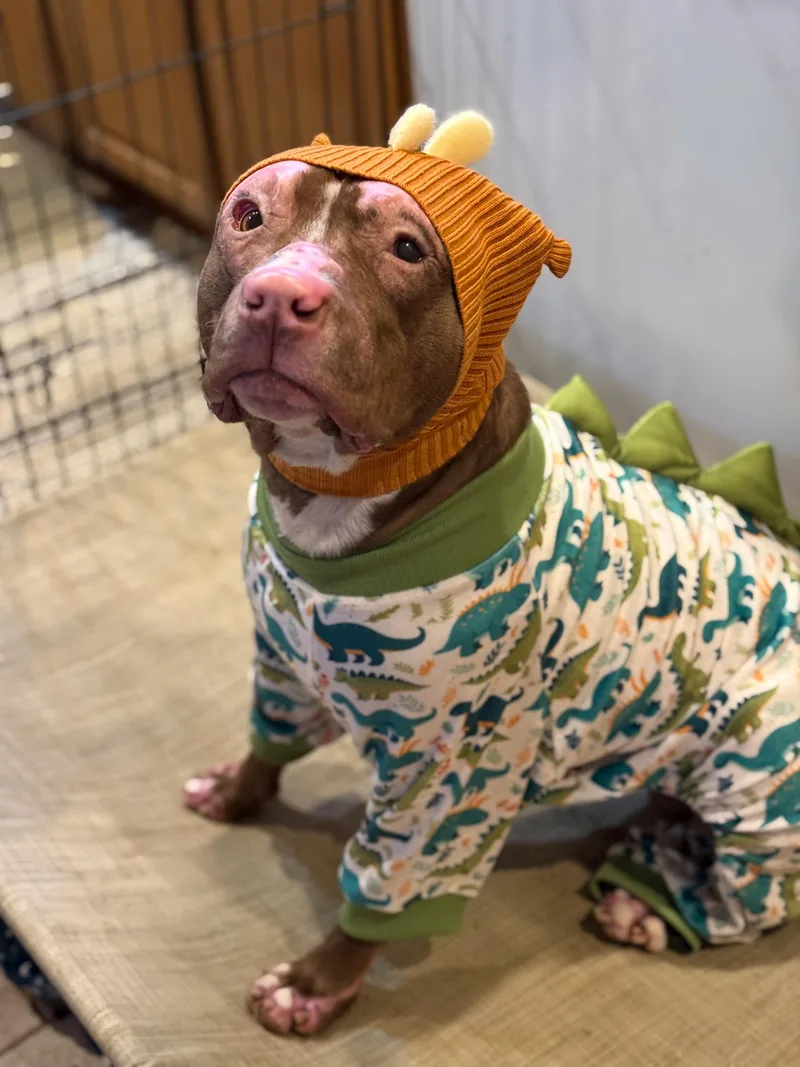 Constantine thumbnail 6