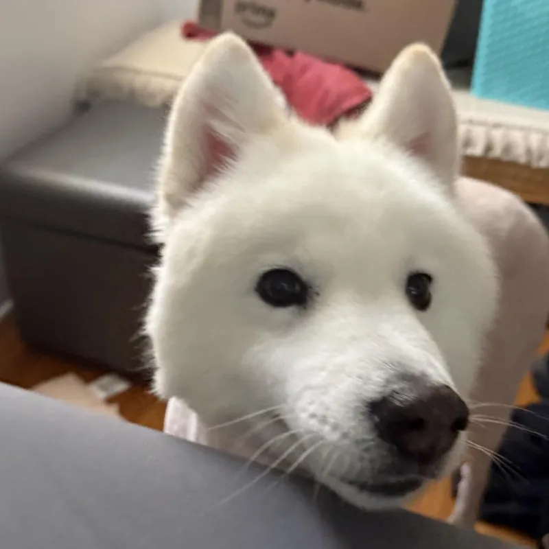 Sadie thumbnail 6