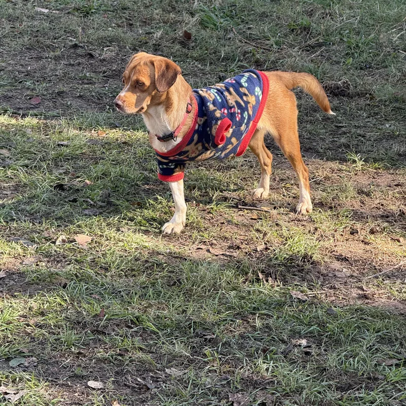 Babygirl thumbnail 2