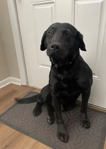 Blaze  Coming Soon! thumbnail 3