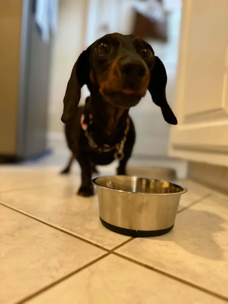Pippa