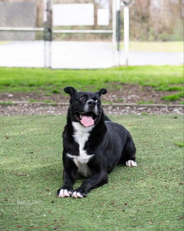 Bones  Cchs thumbnail 3