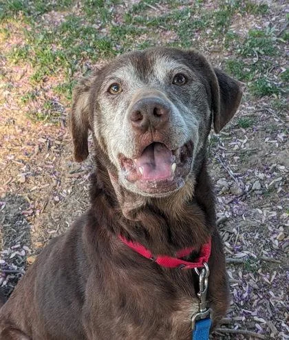 Rocky Road thumbnail 2