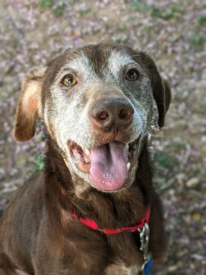 Rocky Road thumbnail 3