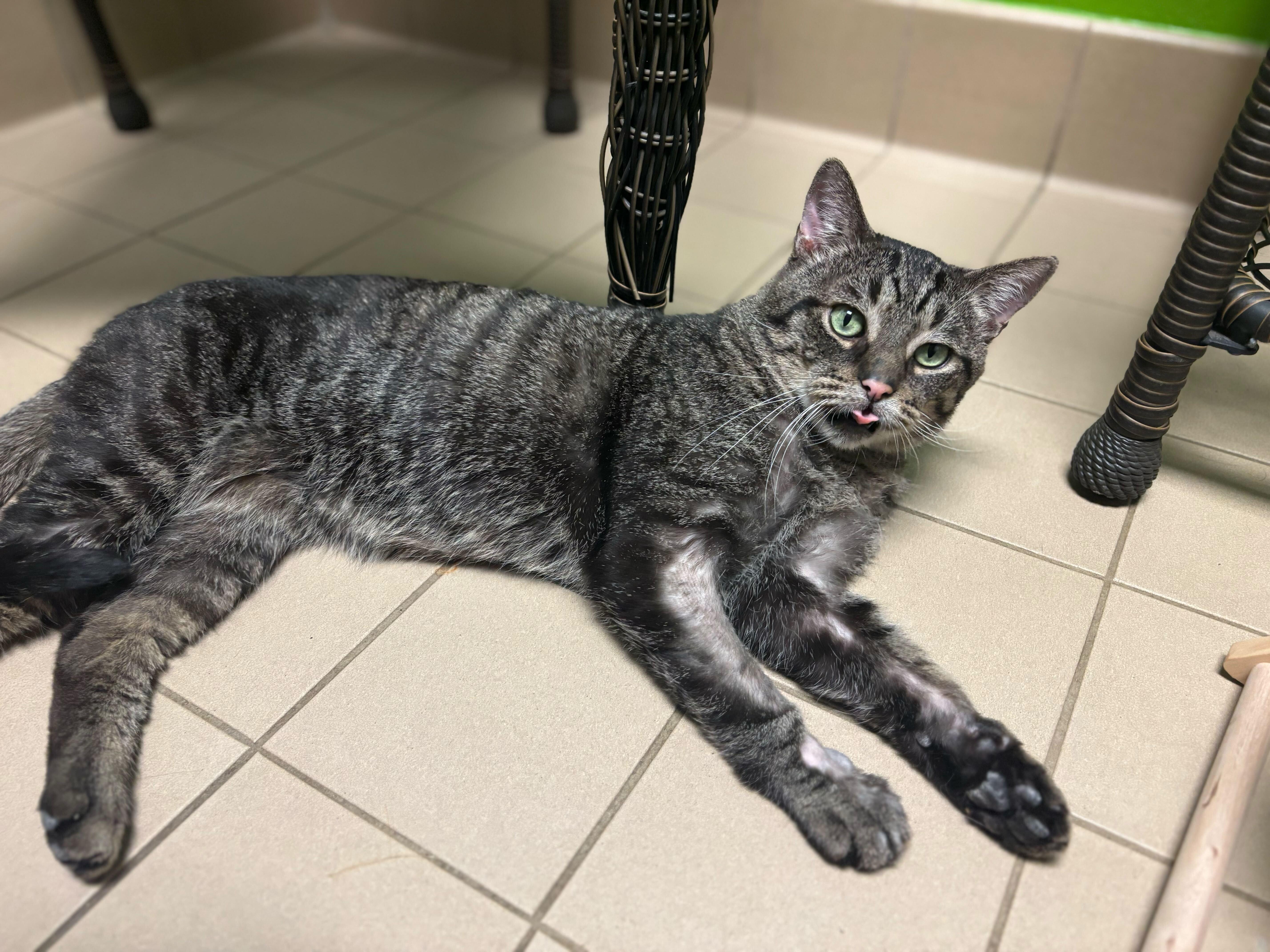 Chris Kringle thumbnail 4