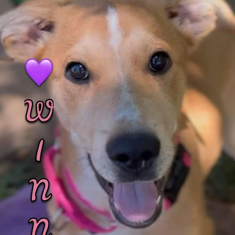 Winnie thumbnail 3