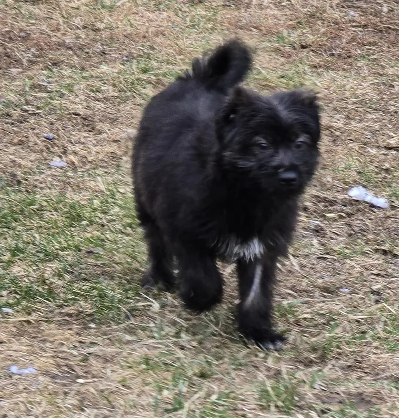 Isabella thumbnail 2