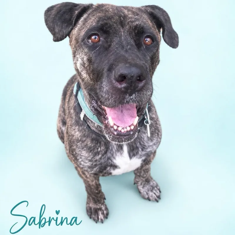 Sabrina thumbnail 4