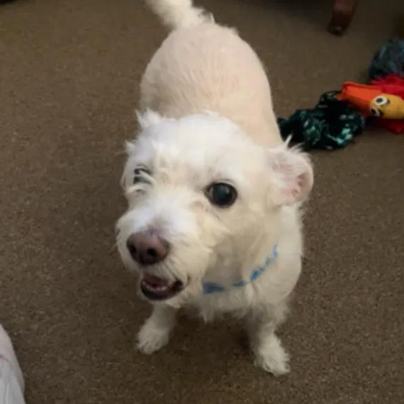 Sophie Mae D thumbnail 2