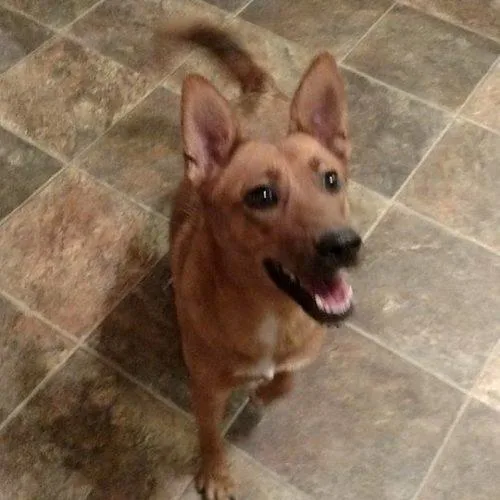 Renegade  Socially Imperfect