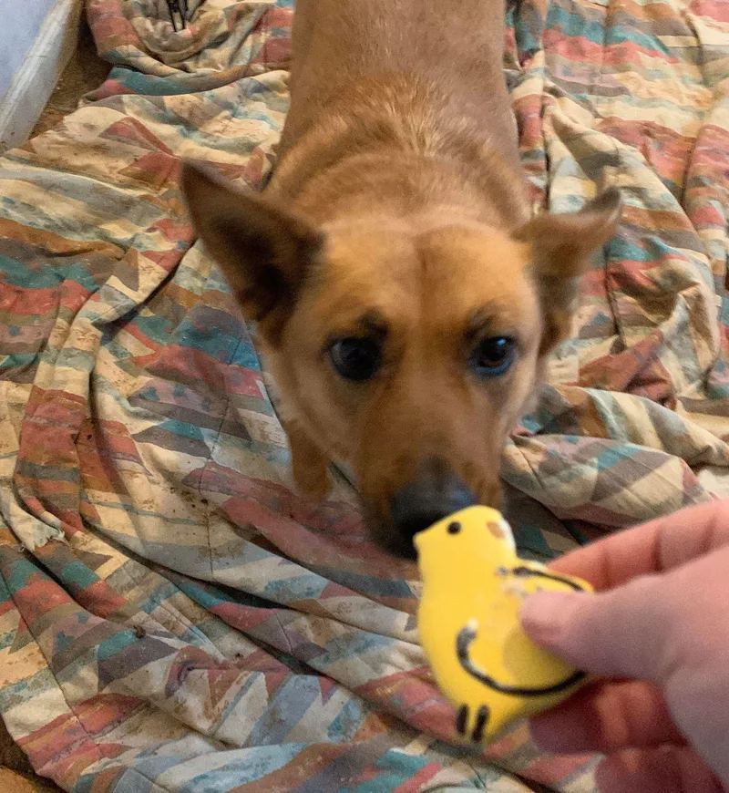 Renegade  Socially Imperfect thumbnail 2