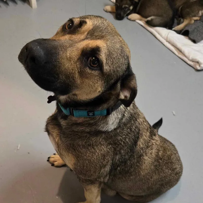 Lux Aka Lexie thumbnail 2