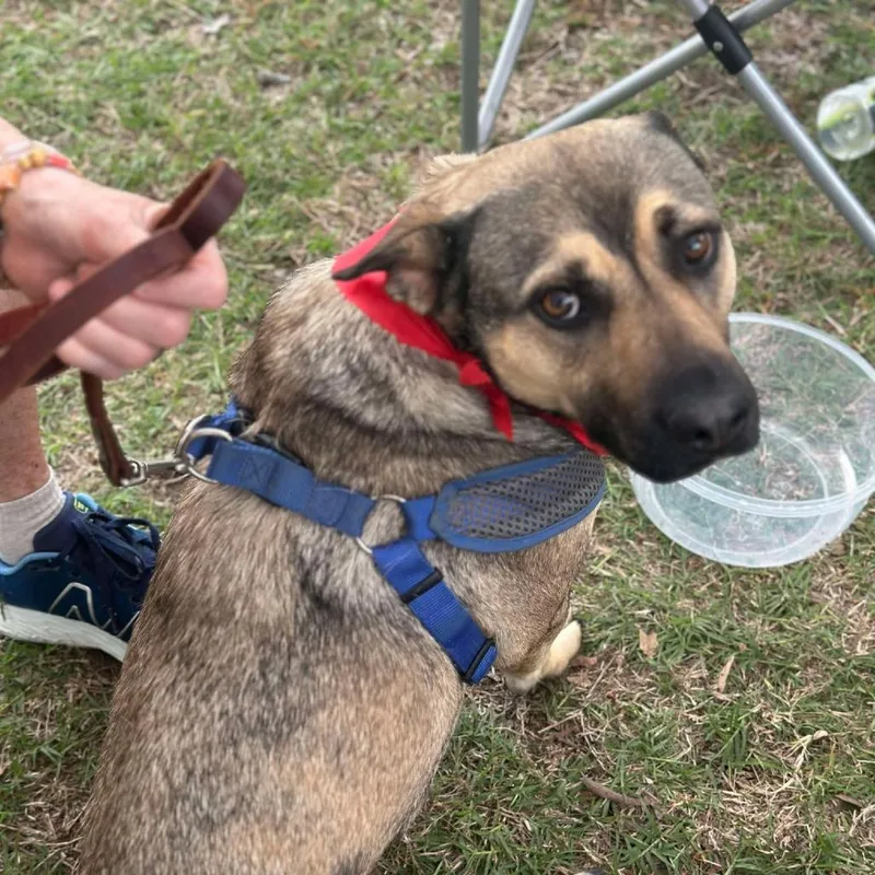 Lux Aka Lexie thumbnail 3