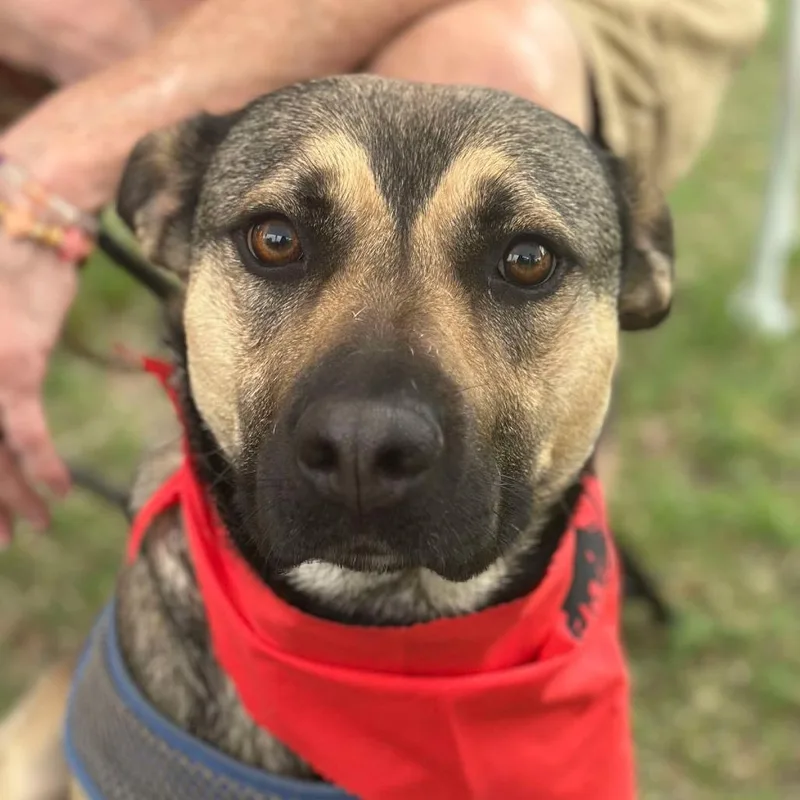 Lux Aka Lexie thumbnail 5