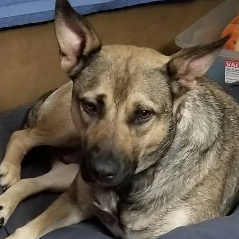 Lux Aka Lexie thumbnail 6