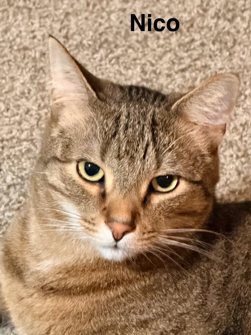 Walter And Nico thumbnail 3