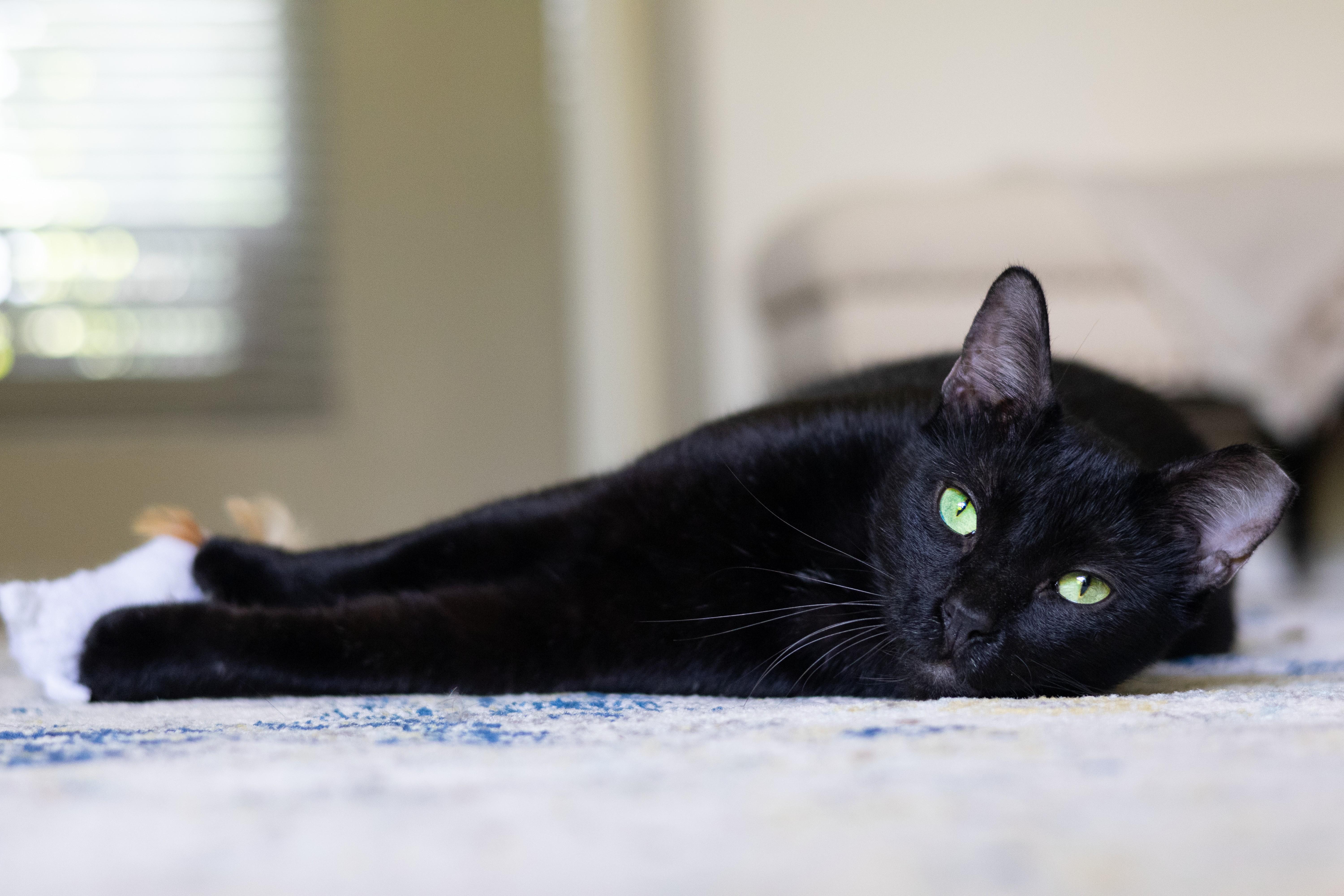 Onyx