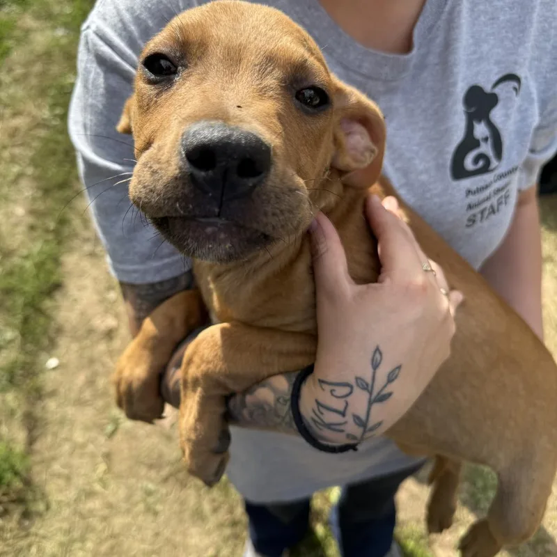 Tinkerbell Manila Crk