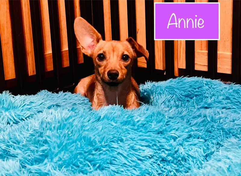 Annie
