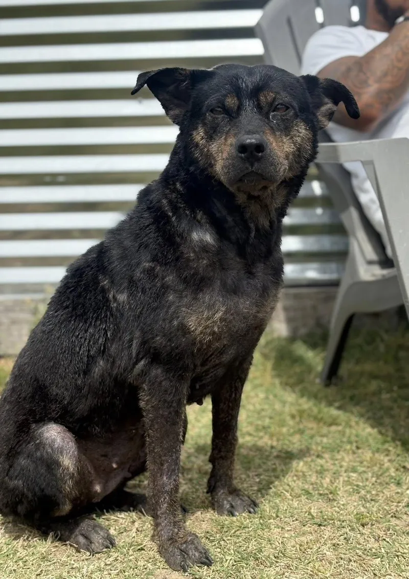 Tumbelina thumbnail 2