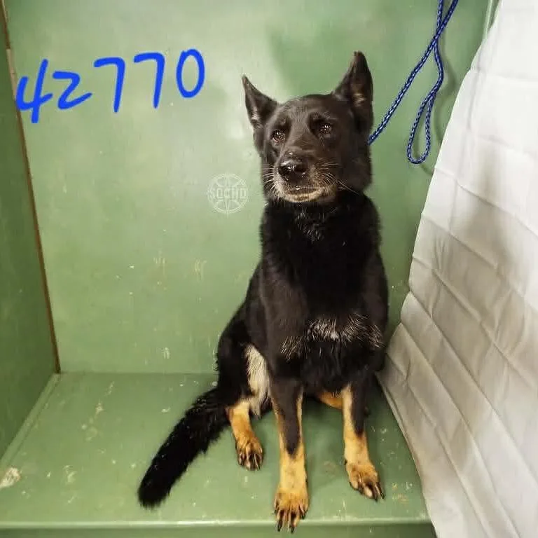 Princess thumbnail 3