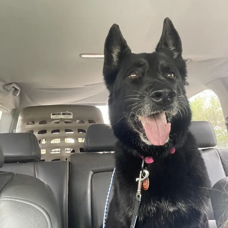 Princess thumbnail 5