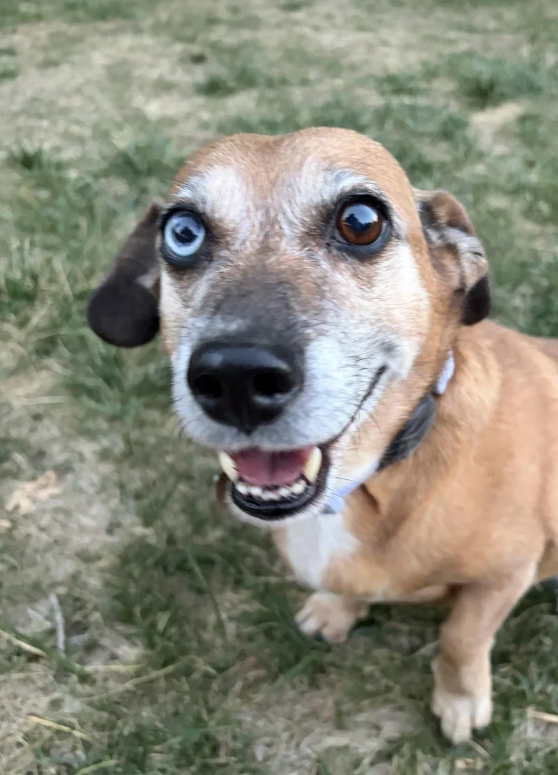 Mia