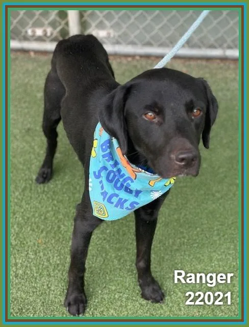 Ranger thumbnail 2