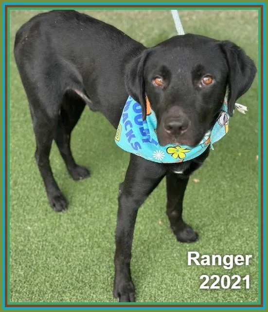 Ranger thumbnail 3