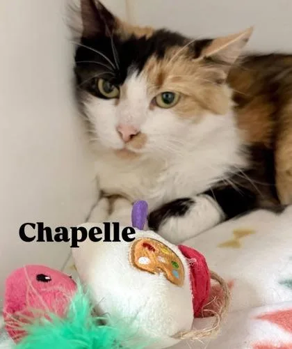 Chapelle