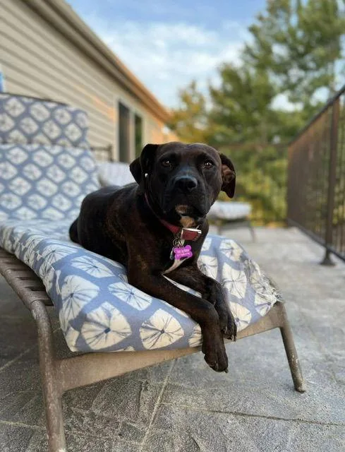 Brighton thumbnail 2