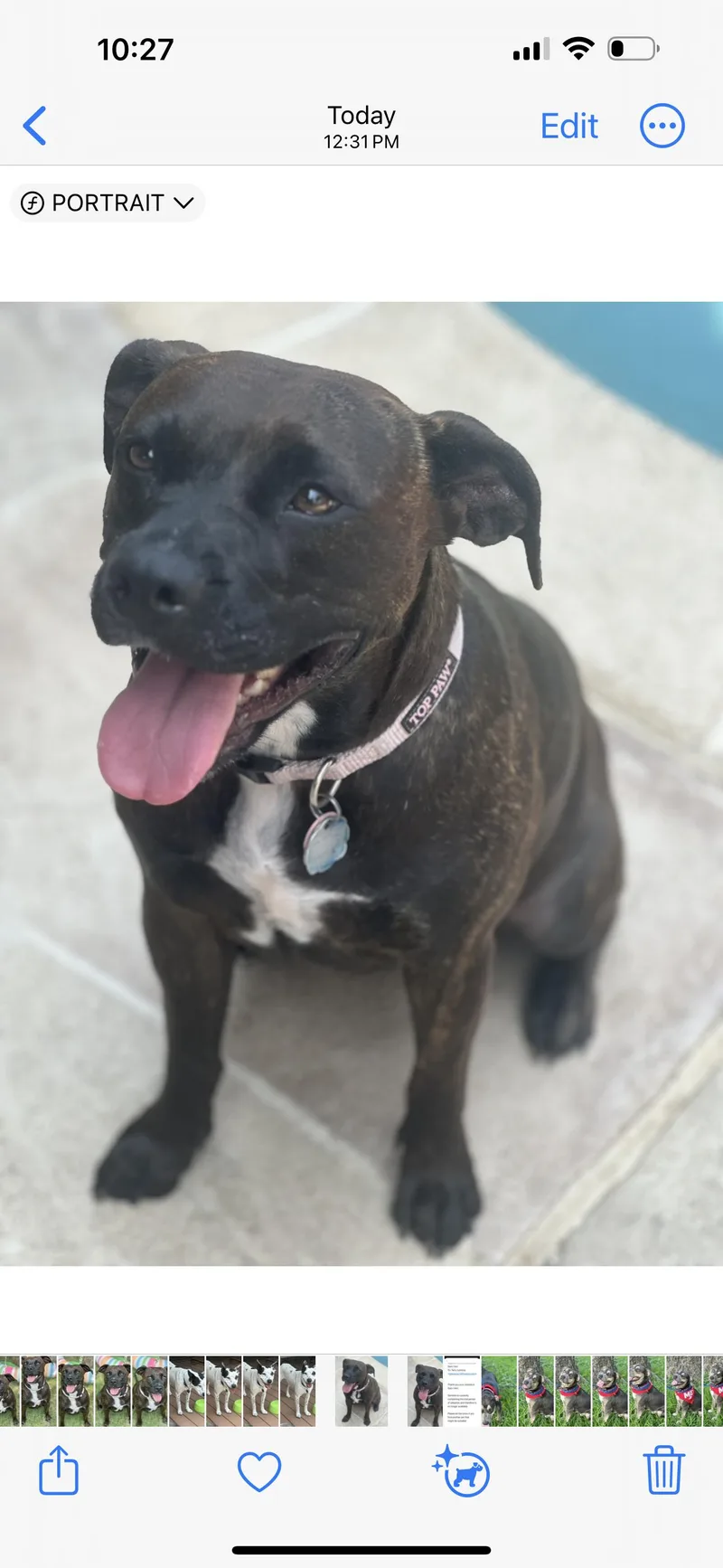 Brighton thumbnail 3