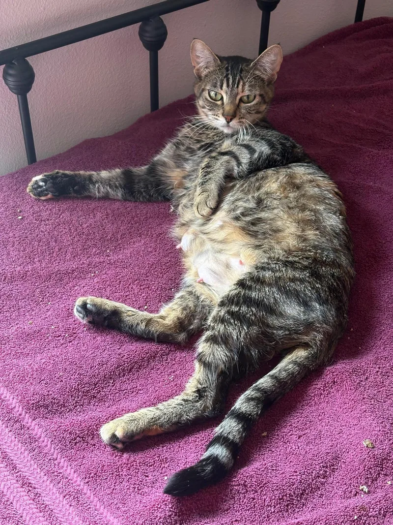 Emmie  Young Female thumbnail 2