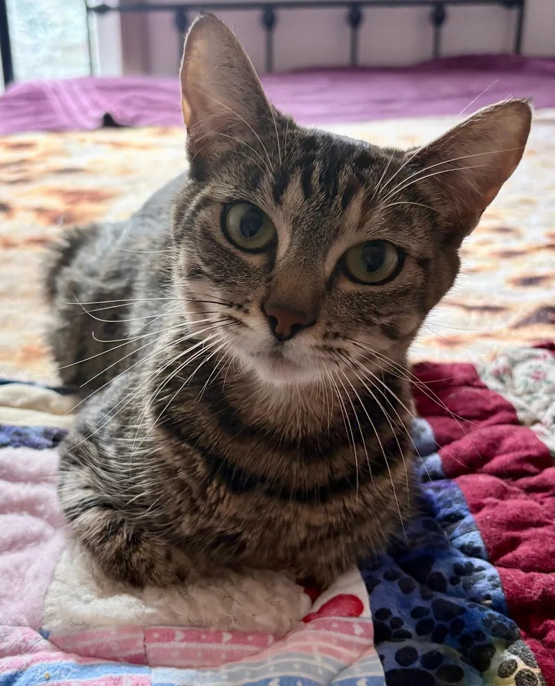 Emmie  Young Female thumbnail 3