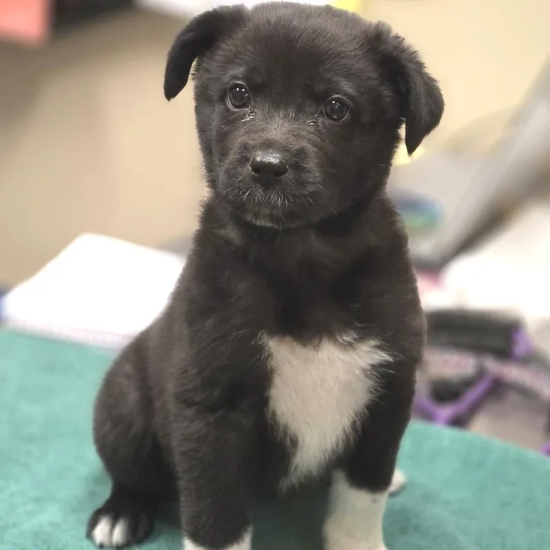 Caroline thumbnail 2