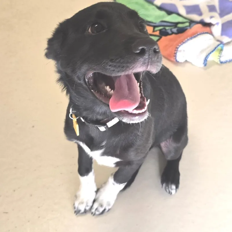 Caroline thumbnail 3