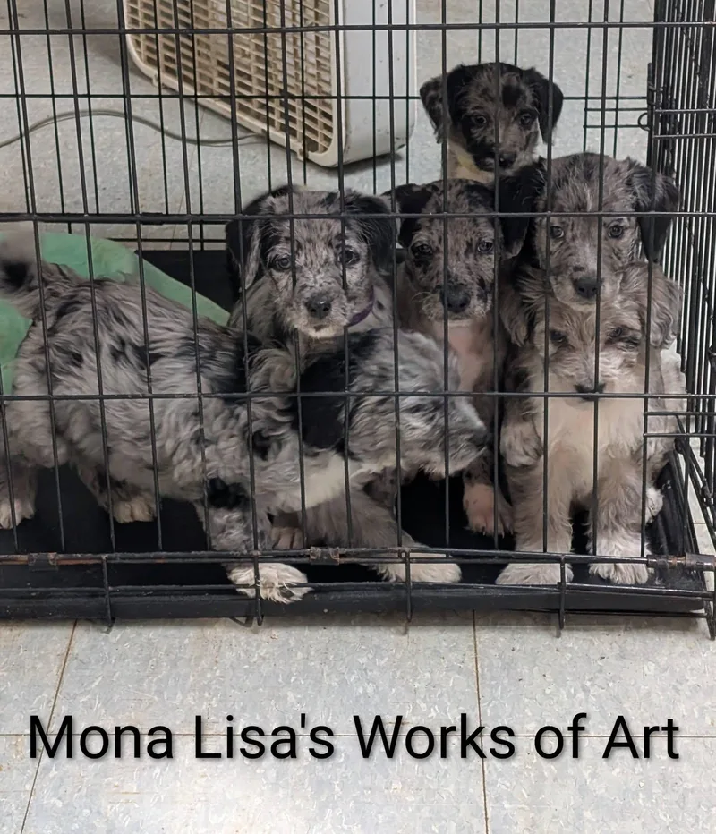 Monet  Works Of thumbnail 5