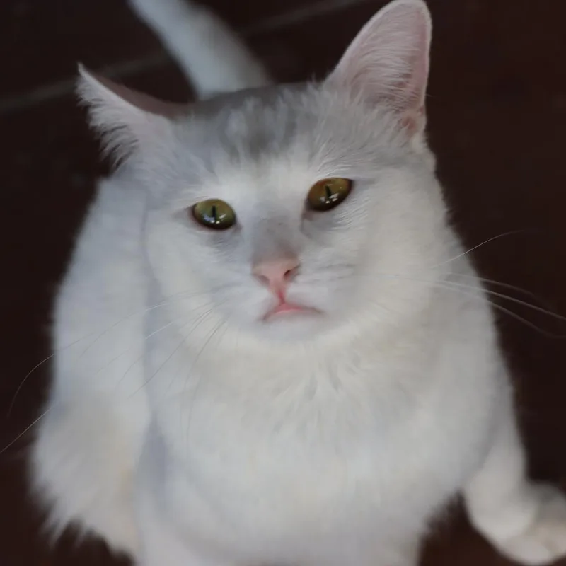 Fairbanks thumbnail 3