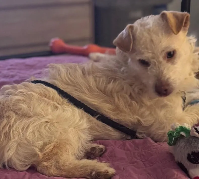 Paddles Aka Sherwin thumbnail 3