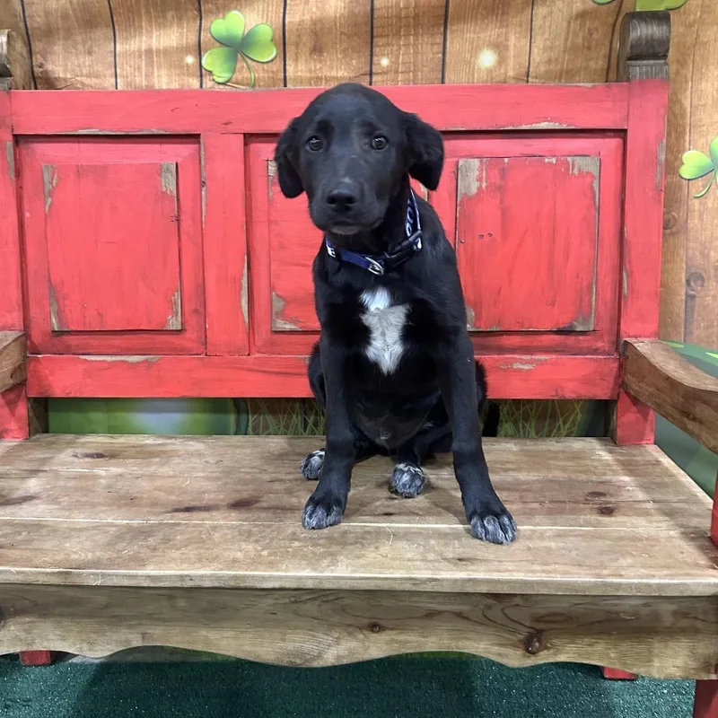 Fwt Devin thumbnail 2