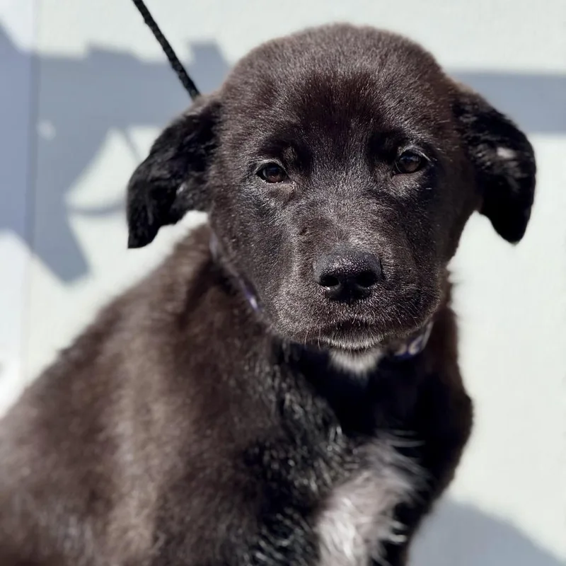 Fwt Devin thumbnail 3