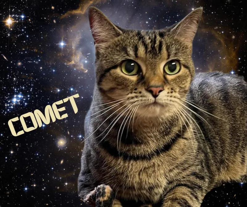 Comet