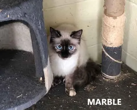 Marble thumbnail 2