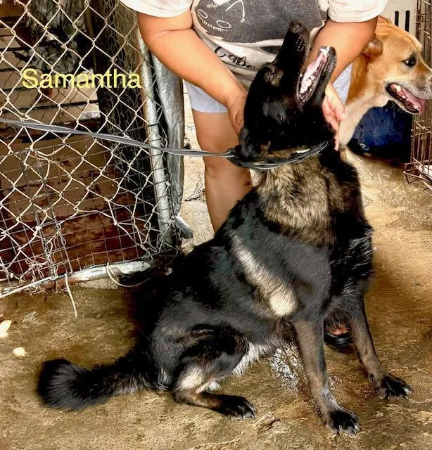Samantha thumbnail 2