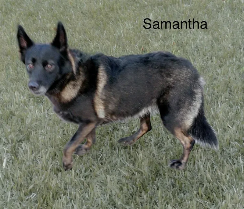 Samantha thumbnail 3