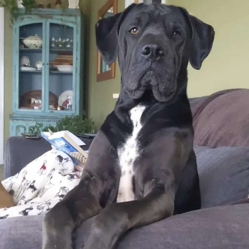 Tucker  Home To thumbnail 2