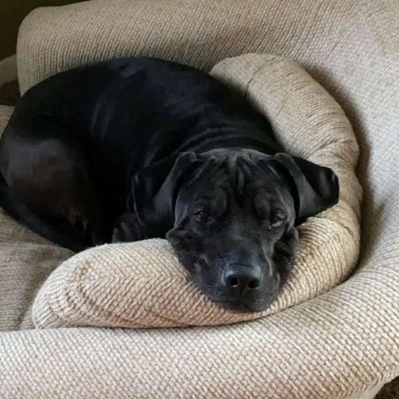 Tucker  Home To thumbnail 3