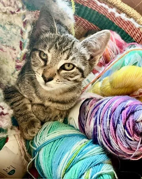 Lily & Cloud thumbnail 3