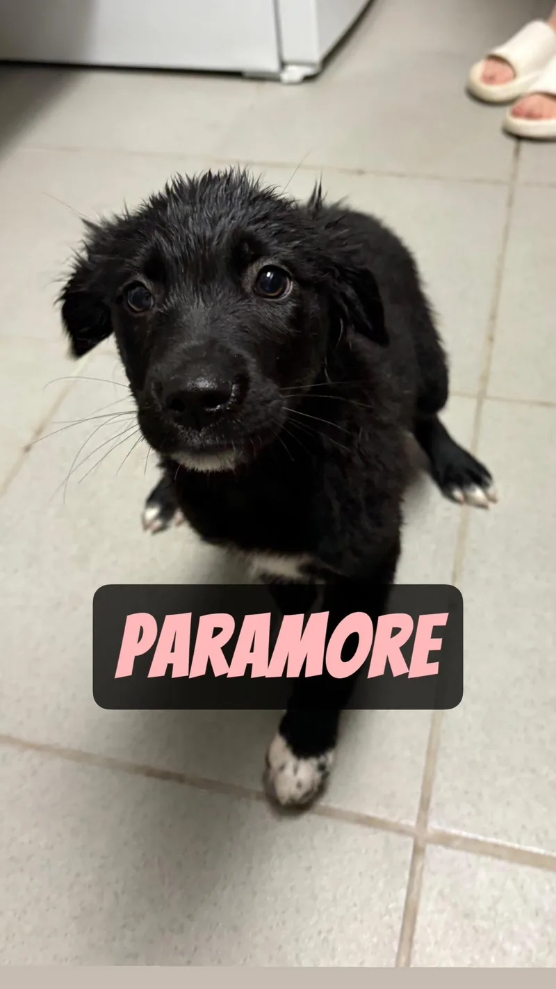 Warped Tour Litter thumbnail 2